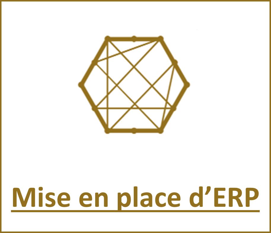 Mise en place ERP PATUREL CONSULTING