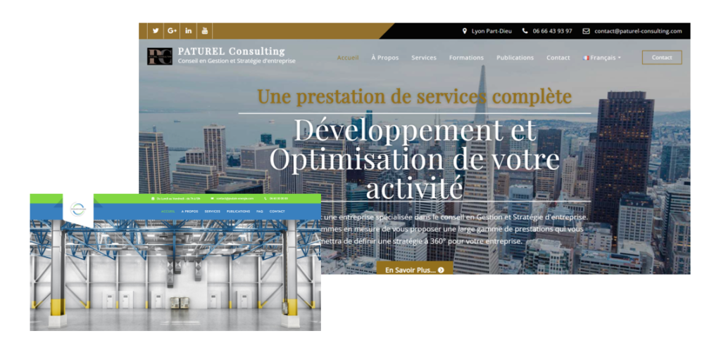 creation site web paturel consulting