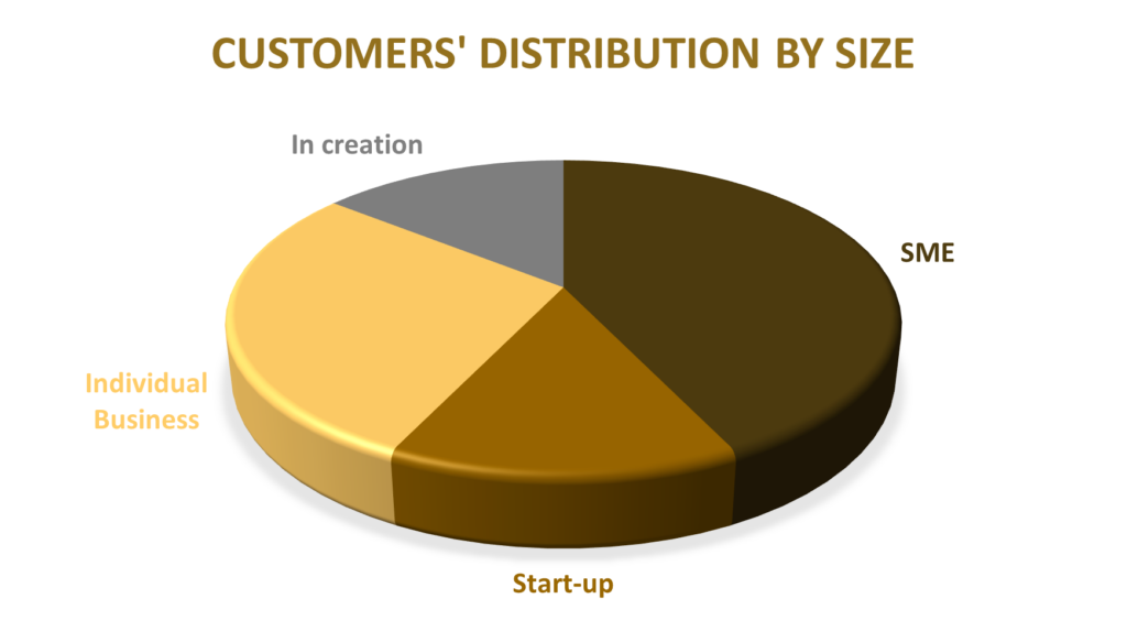 consulting-size-customers